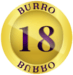 QlVSUk8=