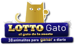 Logo Lotto Gato